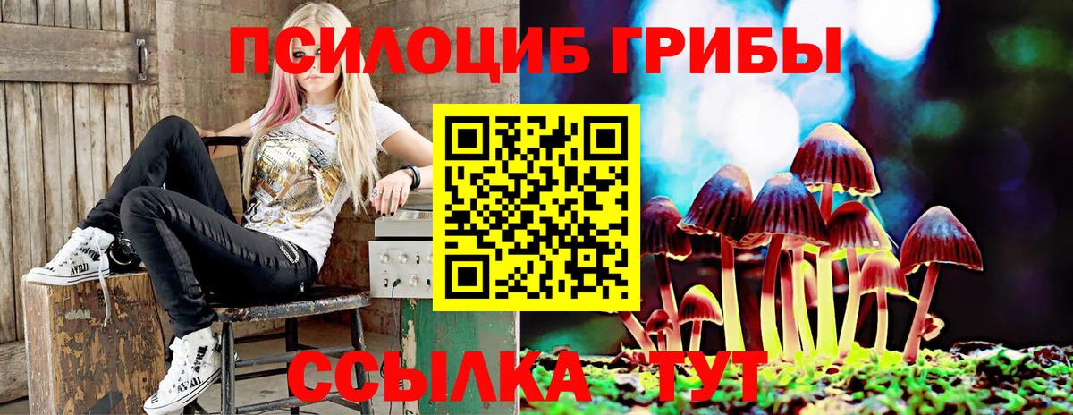 Партизанск  Галлюциногенные грибы Cubensis  Вход с VPN  купить наркоту  Псилоцибиновые грибы MAGIC MUSHROOMS 