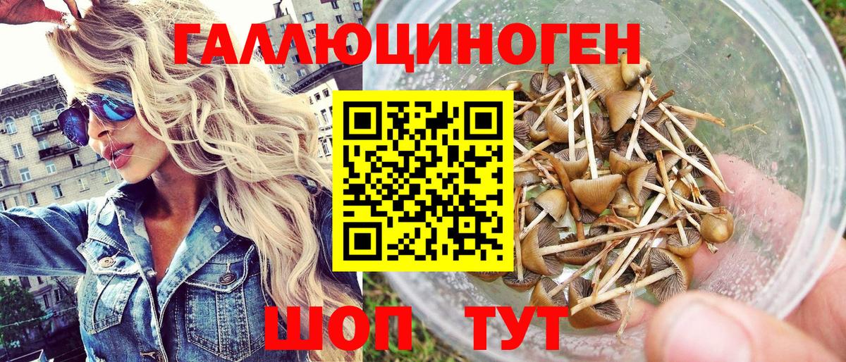 Галлюциногенные грибы прущие грибы Партизанск